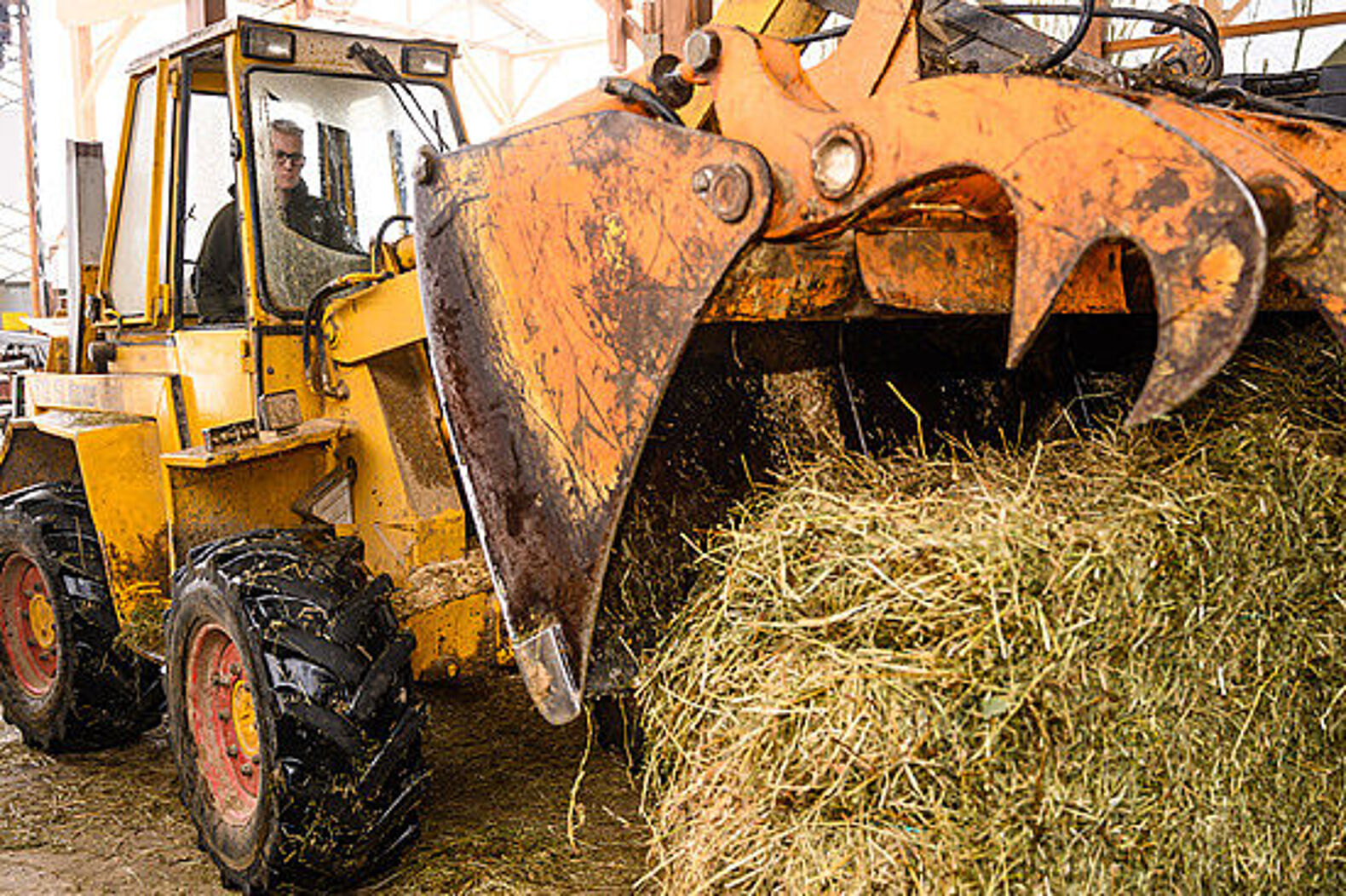 Ein junger Mann sitzt am Steuer eines orangefarbenen Traktors und lenkt die Greifschaufel auf einen großen Heuballen.