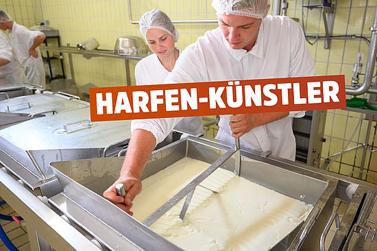 Motiv: Norbert zieht eine „Käseharfe“ durch die geronnene Milch. Text: Harfen-Künstler.