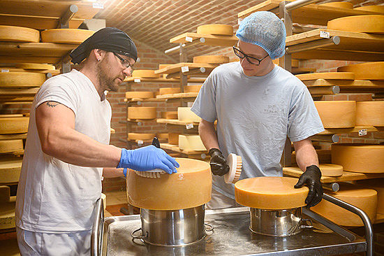 Zwei Männer stehen vor Regalen mit vielen Käselaiben. Auf einem Rollwagen behandeln sie zwei davon mit Bürsten.