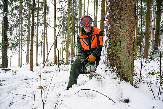 Ein junger Mann mit Schutzhelm und Warnweste fällt mit einer Motorsäge einen Baum. Er steht dabei im Schnee. 