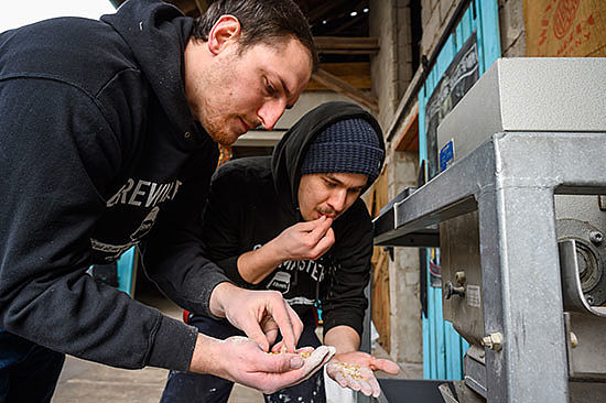 Zwei Männer nehmen gemahlenes Korn aus einer Maschine in die Hände und probieren es. 