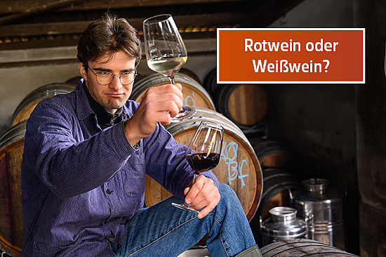 Text-Logo: Rotwein oder Weißwein? Bild: Ein junger Mann sitzt vor Weinfässern und hält ein Glas mit Weißwein etwas höher als eines mit Rotwein. 