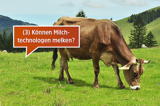 Motiv: Kuh auf der Weide. Text: 3. Können Milchtechnologen melken?  
